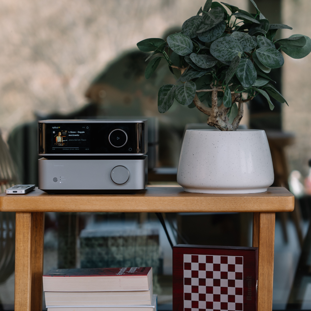 Vibelink Amp