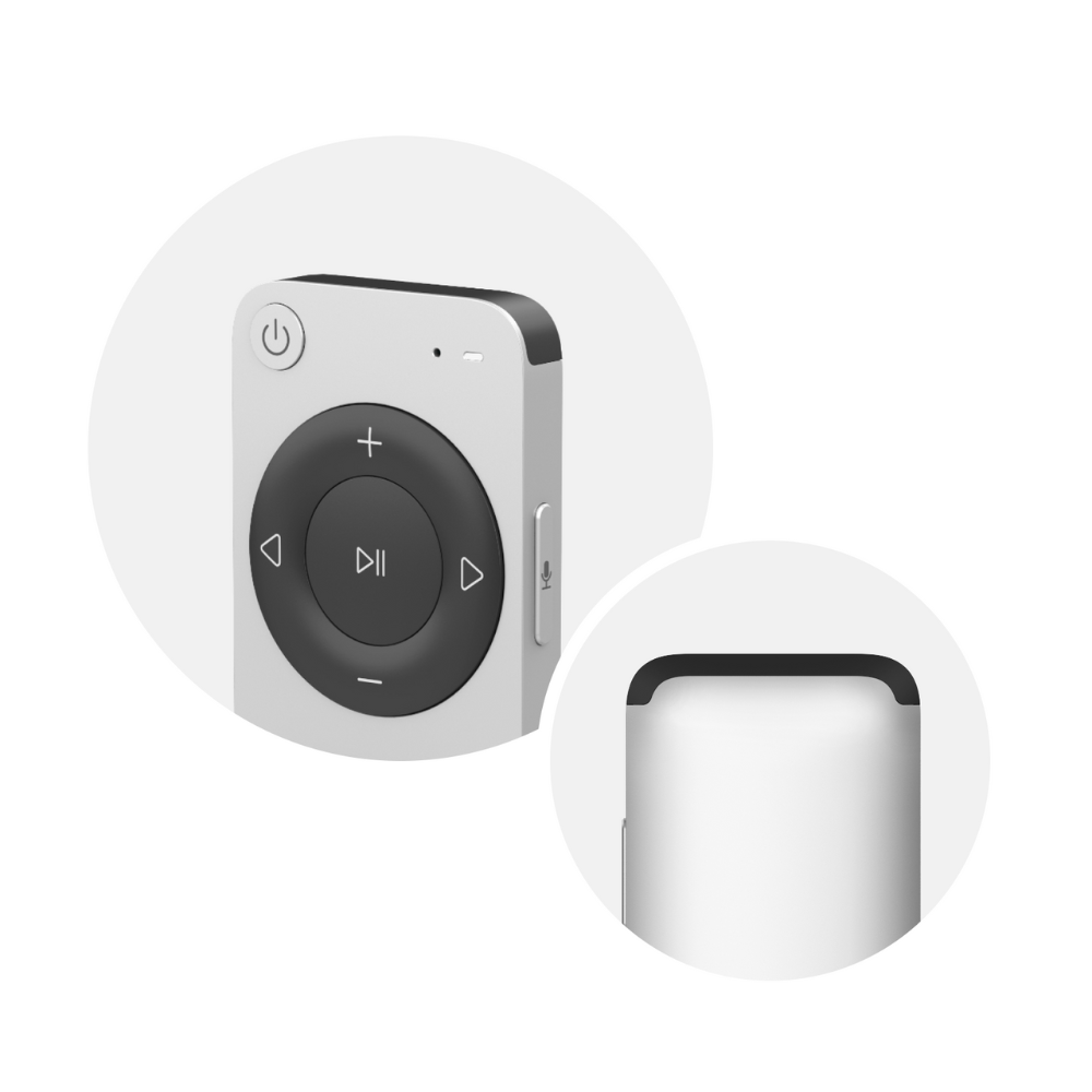 Voice Remote 2