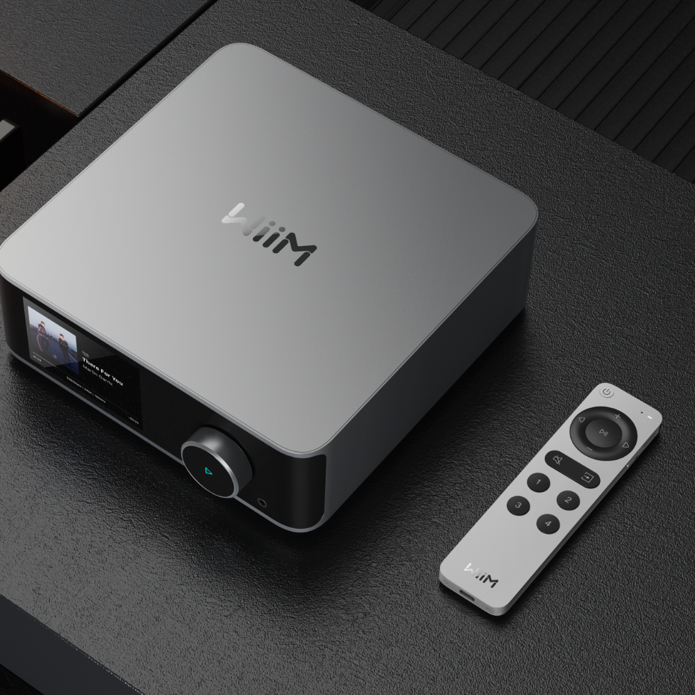 Voice Remote 2