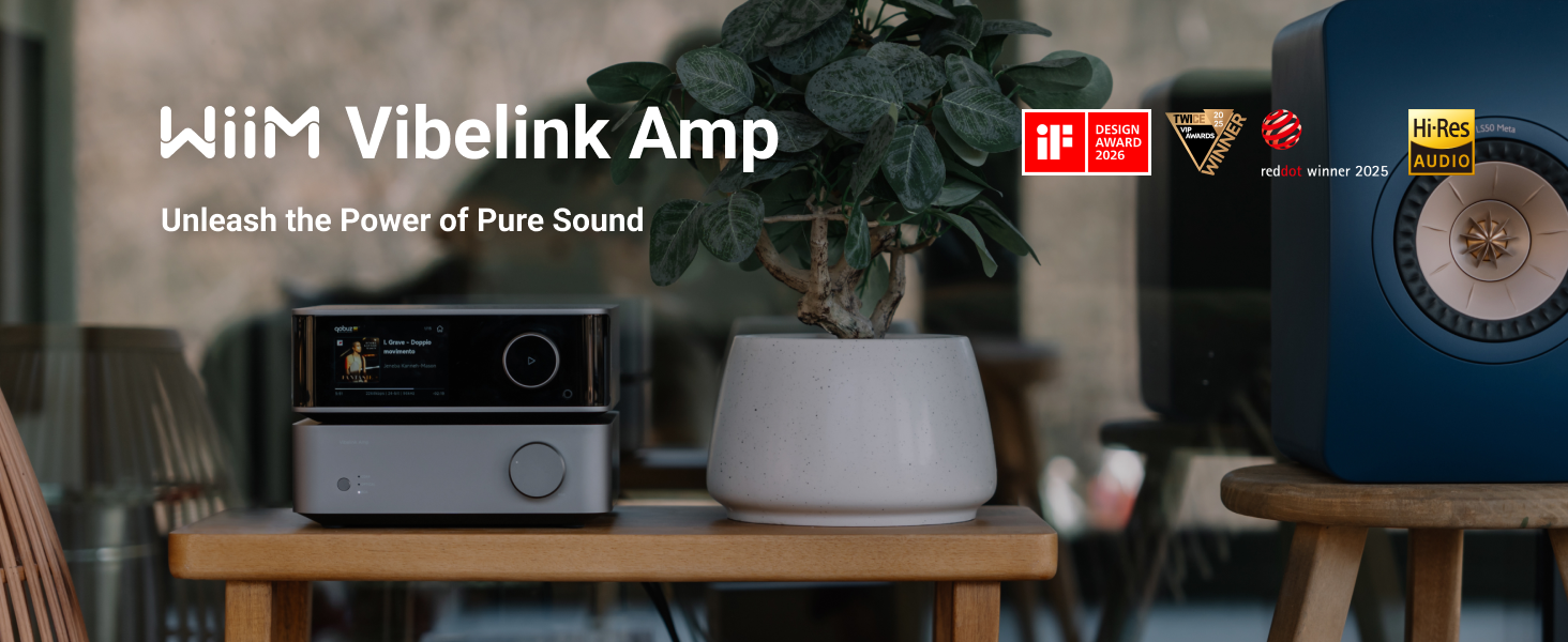 WiiM Vibelink Amp 純後級綜合擴大機重磅回歸