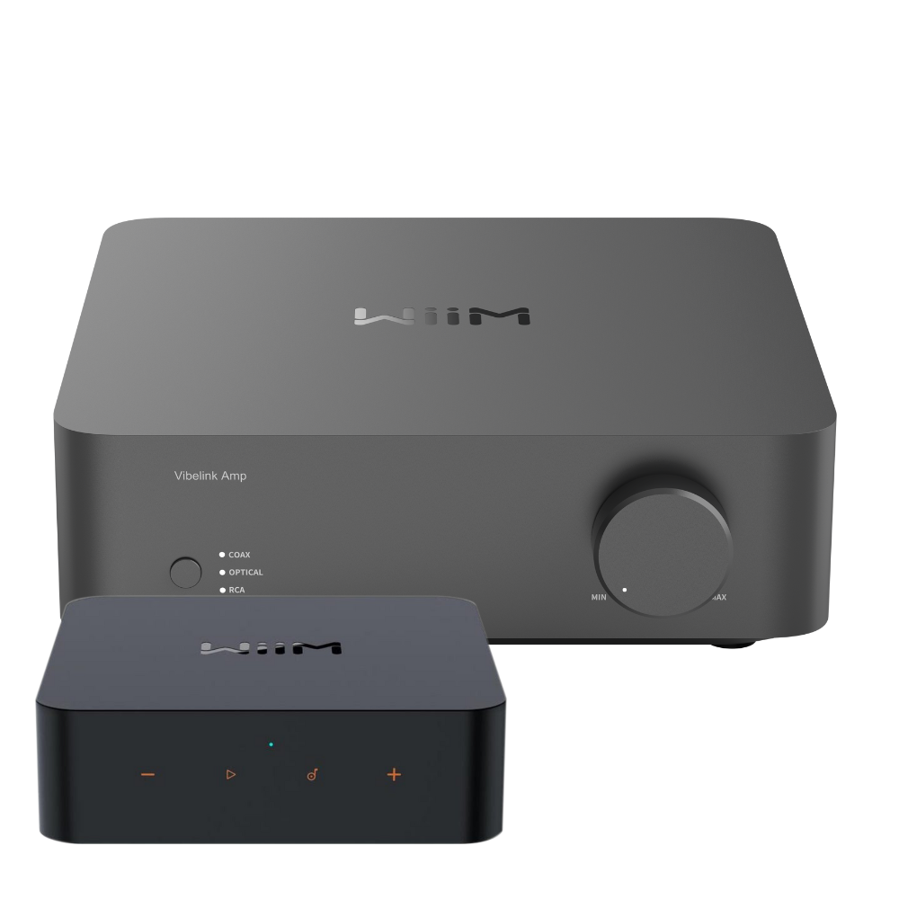 Vibelink Amp(預購)