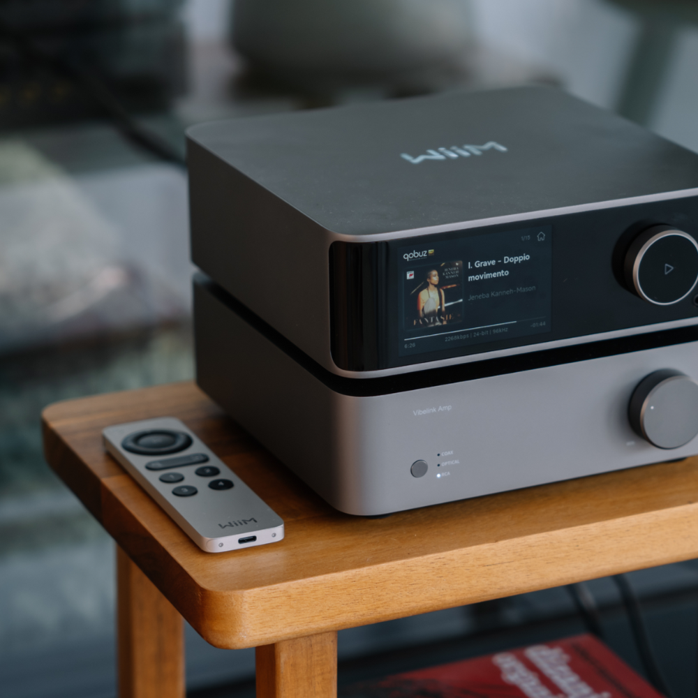 Voice Remote 2