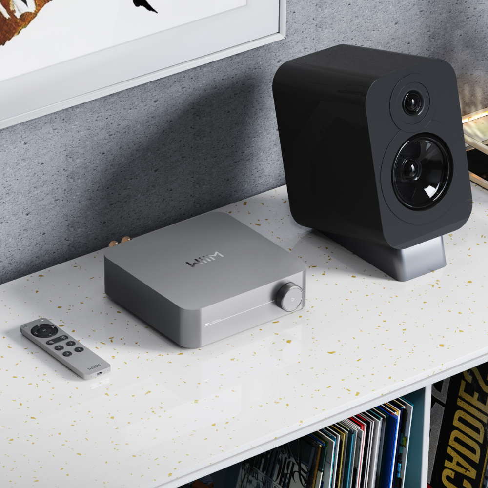 Voice Remote 2