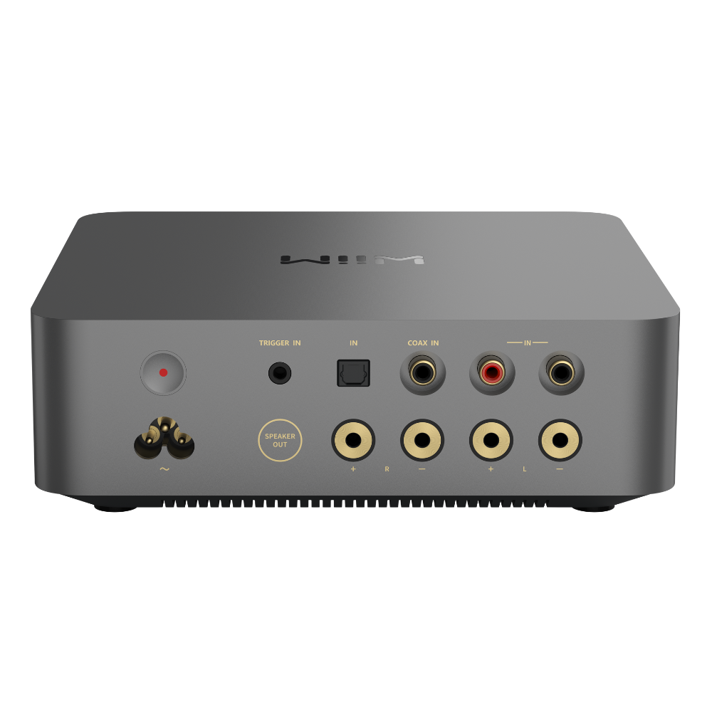 Vibelink Amp(預購)