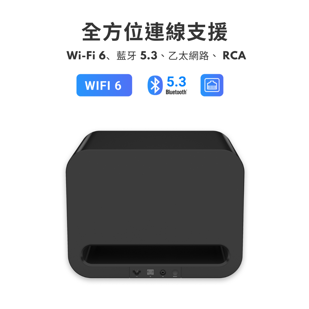 WiiM Sub Pro(預)