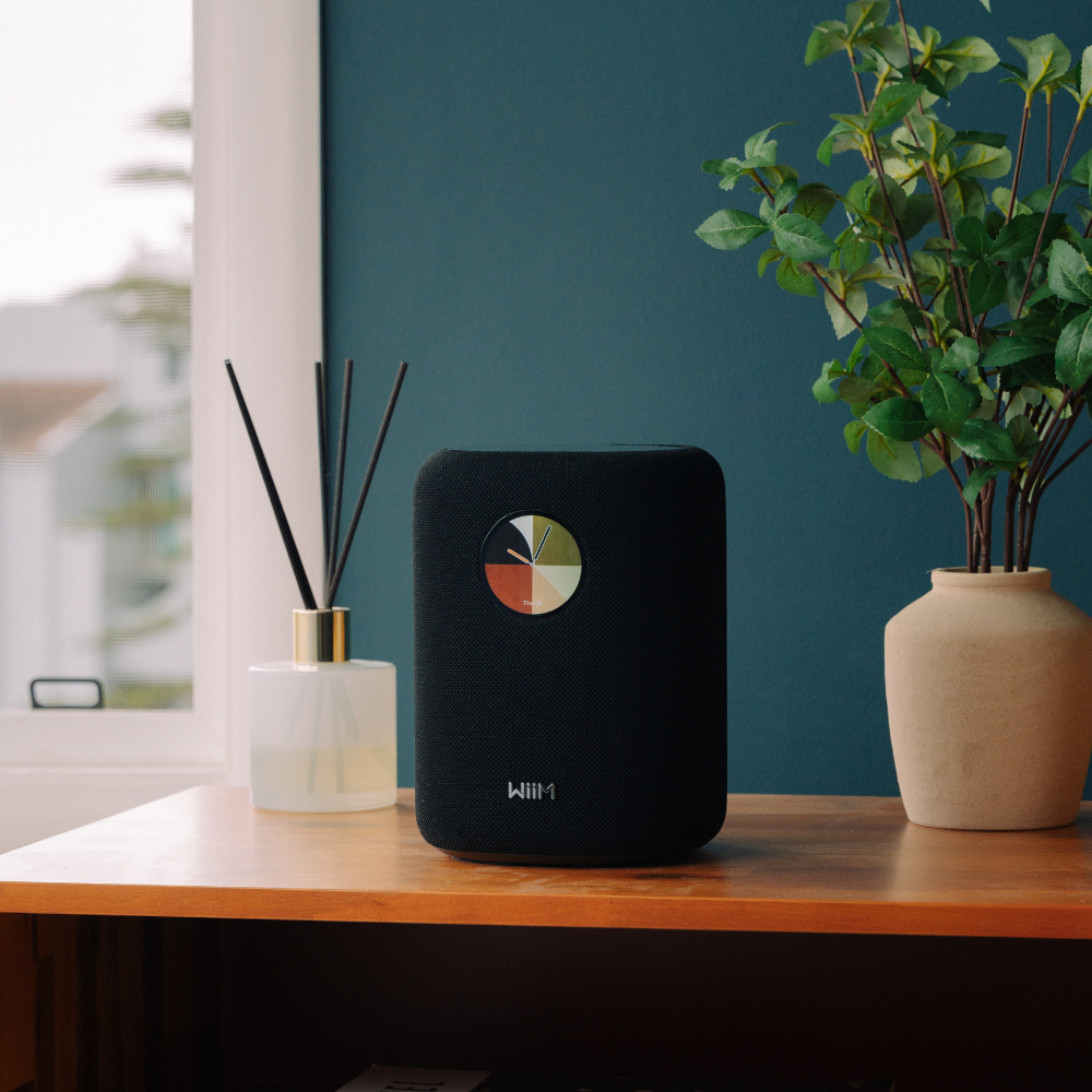 WiiM Sound (預)
