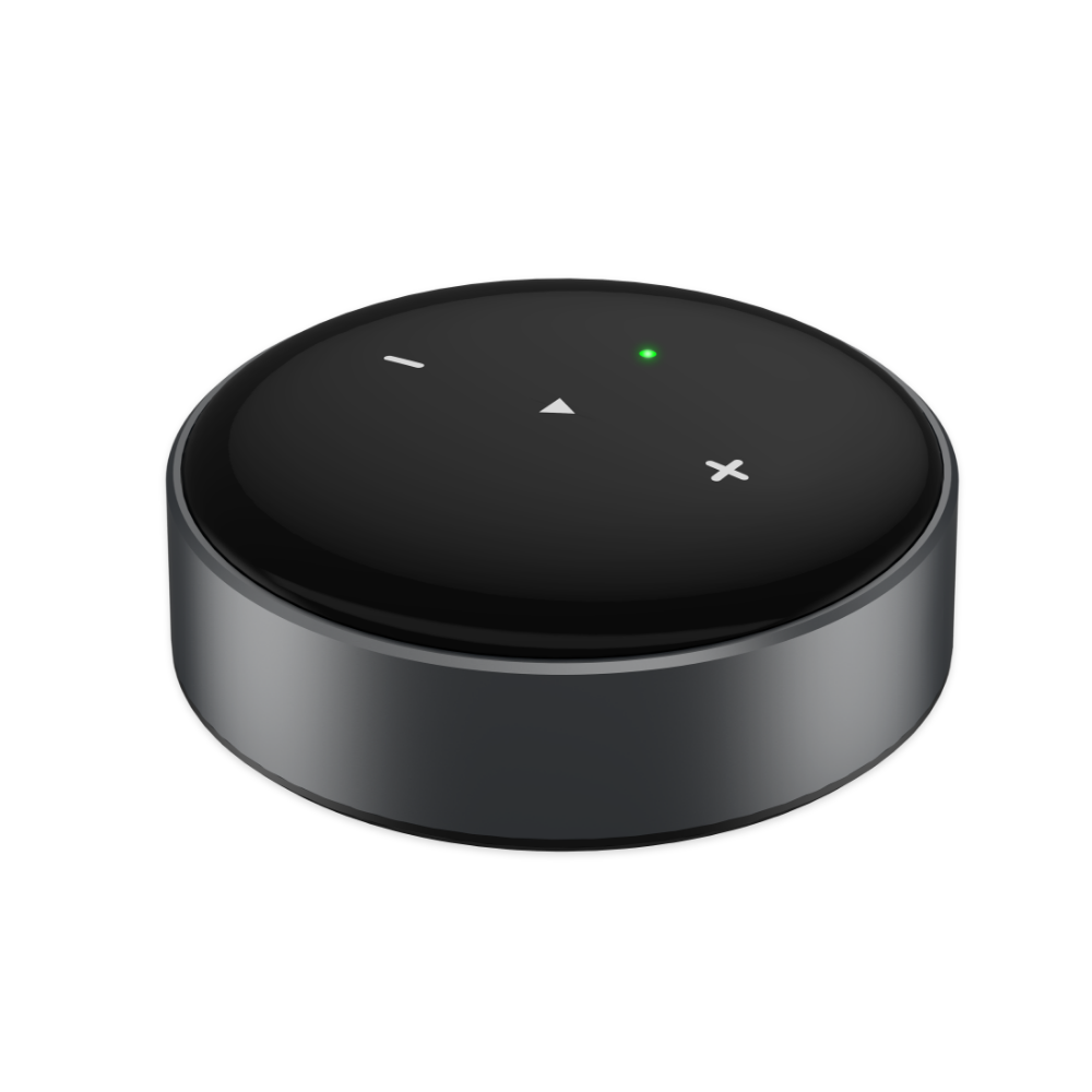 WiiM Mini