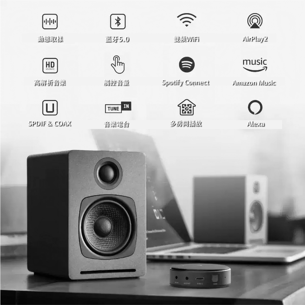 WiiM Mini
