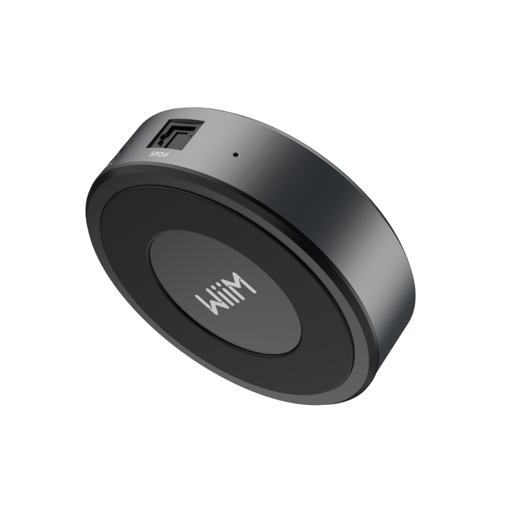 WiiM Mini